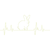 Rabbit Heartbeat