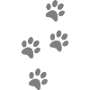 Paw traces