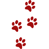 Paw traces