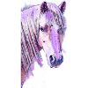 Welsh Pony