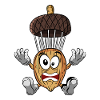 Acorn Skydiving