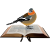 Chaffinch on book