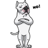 Sturer Dogo Argentino Chien