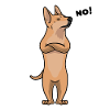 Stuer Carolina Dog Chien