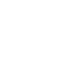 skull motif