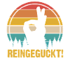 Reingeguckt Retro