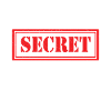 Spy Secret Agent