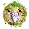 Kakapo Vogel