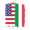 Italy America Flag