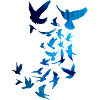 tauben,taube,vögel,vogelschwarm,bunt,graffiti,