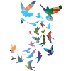 tauben,taube,vögel,vogelschwarm,bunt,graffiti,