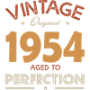 regalo di compleanno vintage 1954 Nato nel 1954