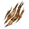 Lion Claw Cat Safari King