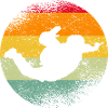 Retro Skydiving Skydivers