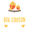 Big Cousin 2022 Little Birds