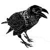 Crow linear