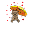 Cairn Terrier Dog