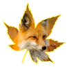 Fox leaf silhouette