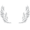 Skull Skull Grunge Wings