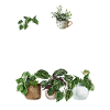 CO2