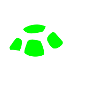 Schildkröte