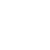 Ramoneurs Evolution Schorn