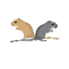 Gerbil Love - Gerbils - Gerbils - Mouse