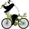Cycling Bicycle Panda Bambo Bicycle