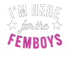 I'm Here For The Femboys Gay Pride Queer Femboy