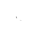 Turtle Turtle