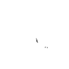 Turtle Turtle