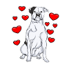 American Bulldog | American Bulldog