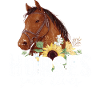 Horses save lives