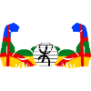 Amazigh in Force