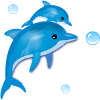 Dolphin