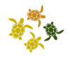 Turtle Marine Animals Shell Animals