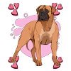 Bullmastiff Bullmastiff Heart Design