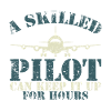 The pilot