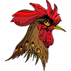 Rooster