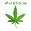 Amsterdam Weed Cannabis Leaf