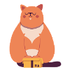 Cat in box