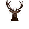 Servus Hirsch Hirschkopf Motif