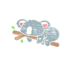 Koala sommeil