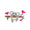 koala