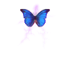 Always Tired - Butterfly Aesthetic - Schmetterling