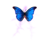 Existential Dread - Butterfly Aesthetic - Soft
