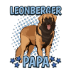 Leonberger Papa