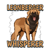 Leonberger Leonberger Whisperer
