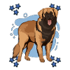 Leonberger Blue Design