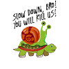 slow down bro escargot tortue turtle slug